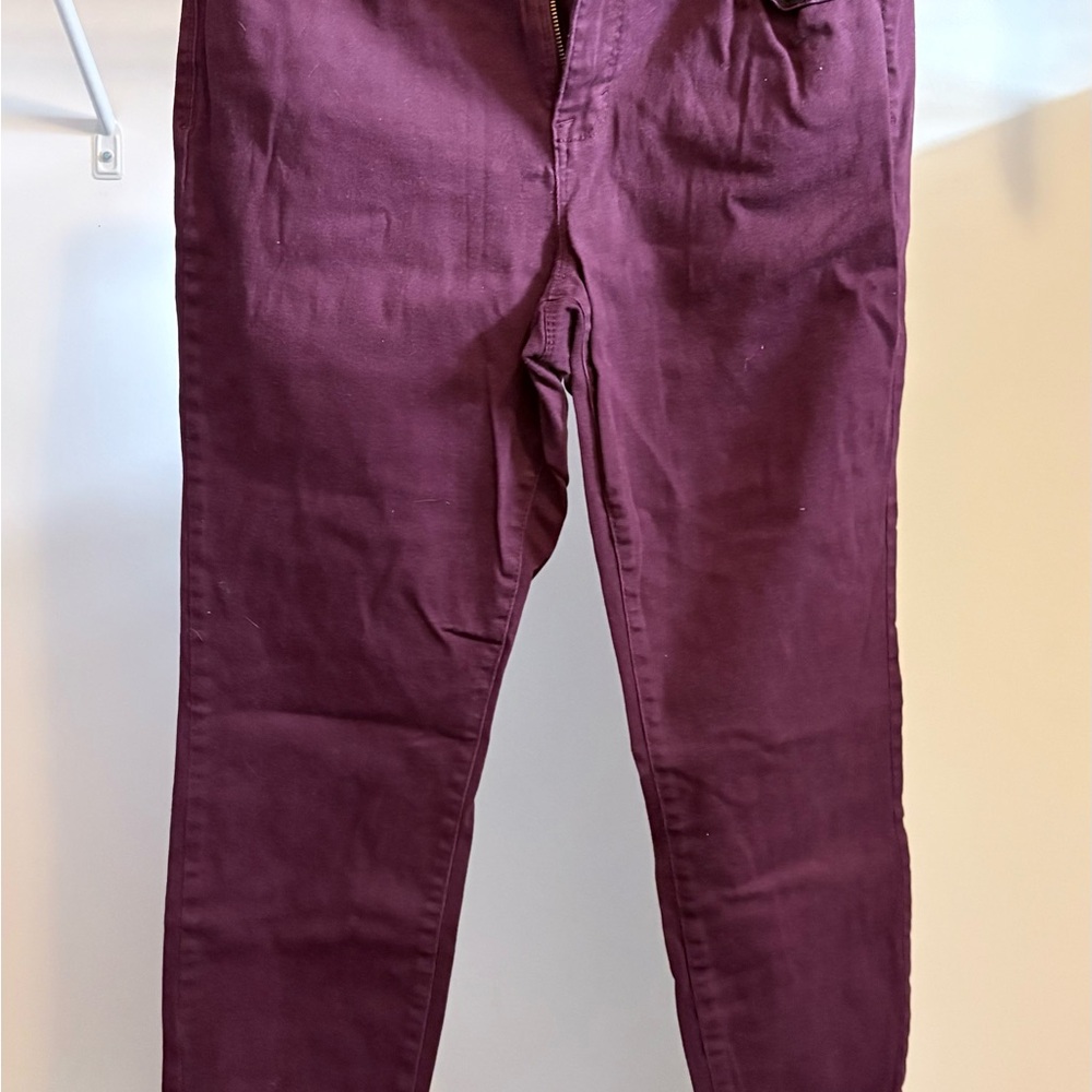 Style & Co. Curvy Skinny Leg Pants in Plum Purple